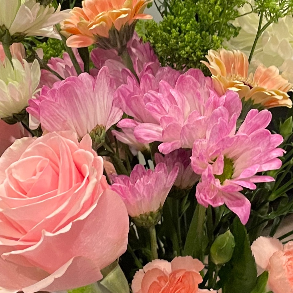 Meet your Posher, Lisa